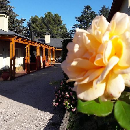 Complejo Las Calandrias Villa Sierra de la Ventana Exterior foto